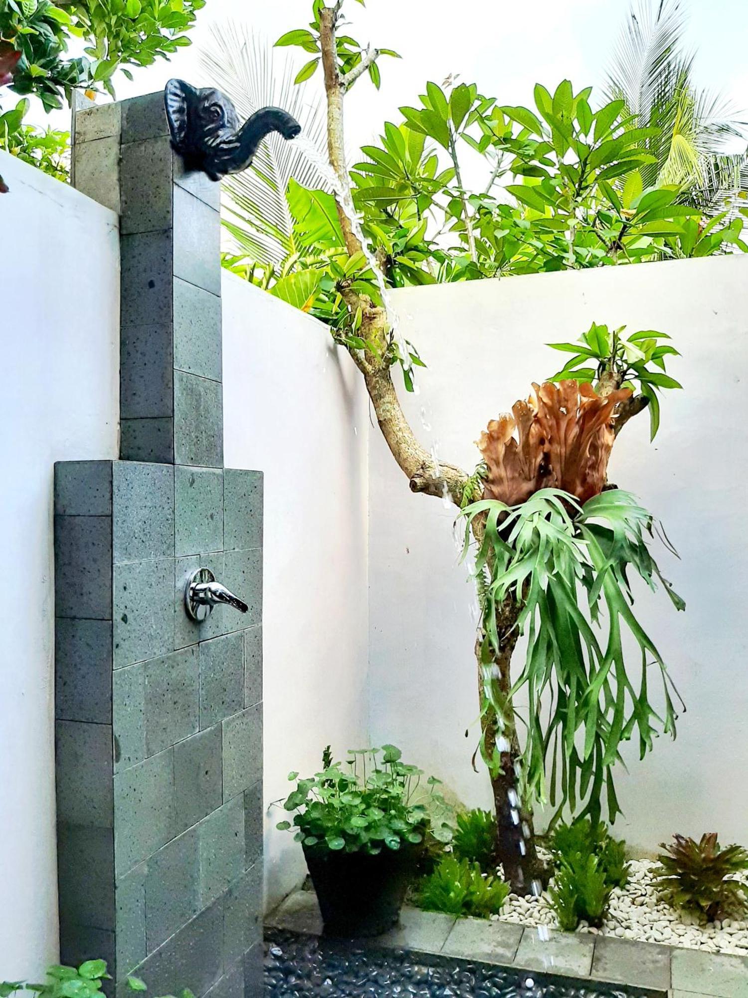 Janur Bungalow มาเกอลัง ห้อง รูปภาพ